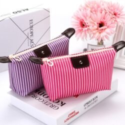 Ladies Foldable Dumpling Bag Storage